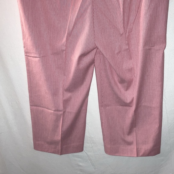 Christopher & Banks Striped Pants - Picture 6 of 8